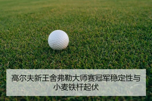 gao-er-fu-xin-wang-she-fu-lei-da-shi-sai-guan-jun-wen-ding-xing-yu-xiao-mai-tie-gan-qi-fu-3-126.jpg